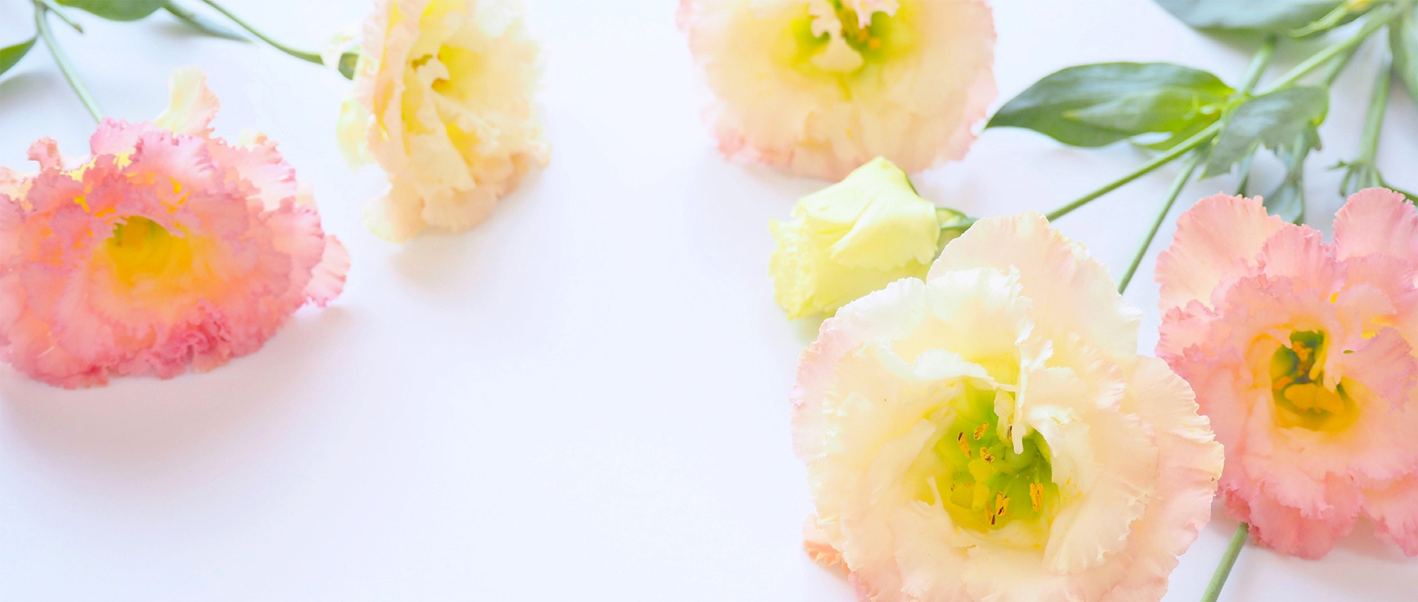 南房総市千倉町平舘、本千倉駅停留所、調剤薬局